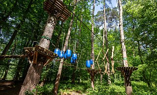 Demnächst kann zwischen den Bäumen wieder geklettert werden: Ein neuer Betreiber hat den Paderborner Kletterpark an den Fischteichen übernommen. - Niklas Tüns