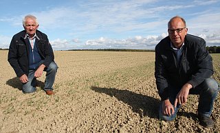 Kreislandwirt Johannes Giesguth (l.) und Ferdinand Falke, Pflanzenbauberater der Landwirtschaftskammer NRW, zeigen die Probleme bei der Aussaat des Wintergetreides auf. Nur wo der Boden genug Wasser hat, sprießen die Pflanzen. - Uwe Müller