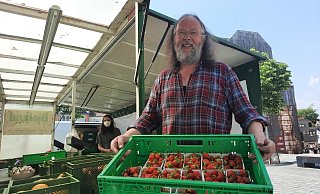 Erdbeeren aus dem Bioanbau gibt es auf dem Palavermarkt bei Ulrich Bentler. Wer selbst Pflücken will, muss sich noch etwas gedulden. - Marc Schröder