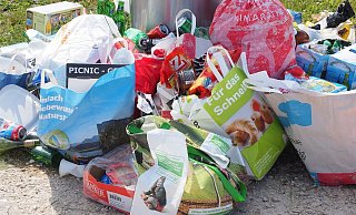 Symbolbild: An einer Schule in Enger hat ein Unbekannter illegal eine große Menge Müll entsorgt. - Hans Braxmeier/Pixabay