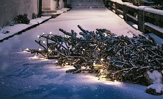 Auch Anfang 2020 gibt es in Bielefeld wieder zahlreiche Sammelstellen für Weihnachtsbäume. - Pixabay