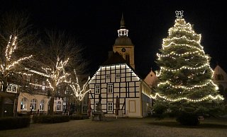 Auch wenn die große Tanne in diesem Jahr alleine auf dem Marktplatz steht, passiert dennoch einiges in der Stadt. - Waltraud Leskovsek