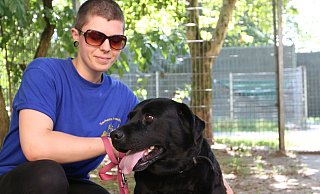 Sucht ein neues Zuhause: Labrador-Hündin Lara. Bis dahin kümmert sich Tierpflegerin Annie Schelage um den Vierbeiner. - Nathalie Voigt
