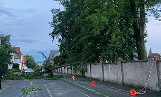 Umgestürzte Bäume, vollgelaufene Keller. Vor allem in Warburg hatte die Feuerwehr gut zu tun. - Feuerwehr Warburg