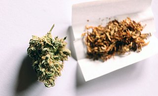 Das neue Gesetz erlaubt Volljährigen in Deutschland ab dem 1. April den Konsum von Cannabis. - Karl-Josef Hildenbrand/dpa