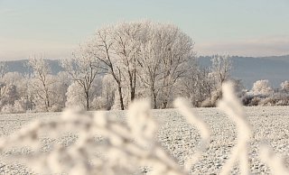 Der Harz - eine Winterlandschaft. - Foto: Matthias Bein/dpa-Zentralbild/ZB