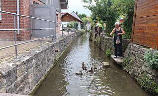 Die Idylle eines innerstädtischen Wasserlaufs ist trügerisch. - Burkhard Battran