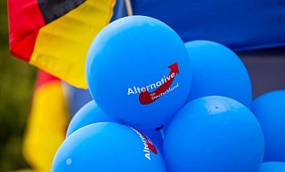 Die AfD möchte möglichst alle Wahlbezirke in Harsewinkel besetzen. - Andreas Franke/Picture Alliance