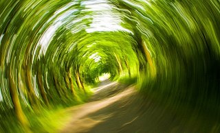 An seine Fahrt konnte sich der Mann kaum erinnern. - Pixabay/Symbolbild