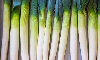 Bei der Frage, wie Lauch wirklich sauber wird, gehen die Meinungen auseinander. - Robert Günther/dpa-tmn