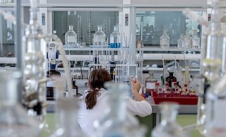 Die Nachwuchsforscher hatten viele spannende Projekte eingereicht. - Symbolfoto: Pixabay