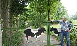 Am Kleekampweg: Werner Walkenhorst hat diese Allee an der 250 Meter langen Zufahrt zum Hof vor vielen Jahren selbst angepflanzt. - Karin Wessler
