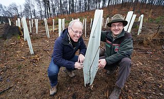 Oberbürgermeister Pit Clausen und Stadtförster Herbert Linnemann an einer frisch gepflanzten Eiche am Bokeler Berg. - Peter Unger