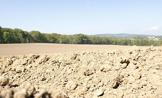 Schon im April war es in Ostwestfalen sehr trocken, wie etwa dieser Acker in Bielefeld zeigt. - picture alliance / Robert B. Fishman