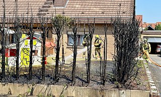 Durch einen Brand wurden am Sonntagmittag rund 20 Meter Sichtschutzhecke eines Einfamilienhauses am Bonenburger Weg vernichtet. - Ralph Meyer