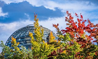 Die Kuppel auf dem Deutschen Bundestag hinter bunt gefärbten Laubbäumen. In den kommenden Tagen finden zahlreiche Gespräche über die Bildung der künftigen Regierung statt. - Foto: Michael Kappeler/dpa