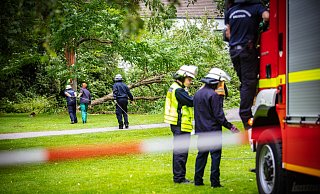 Der Baum war eine große Gefahr für Passanten. - Mike-Dennis Müller