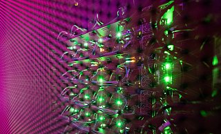 Cloud-Dienste sind bei vielen Unternehmen beliebt (Archivbild) - Sebastian Gollnow/dpa