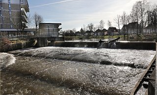 Am Bergertor stürzen die Werrefluten derzeit etwas heftiger über das Wehr. Kritische Hochwasser-Marken sind aber durch die Schneeschmelze jetzt nicht mehr zu erwarten. - Frank-Michael Kiel-Steinkamp