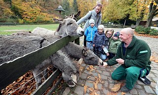 Der Tierpark in Bielefeld hat jetzt Maßnahmen getroffen, die den Tieren mehr Ruhe bieten sollen. - Wolfgang Rudolf