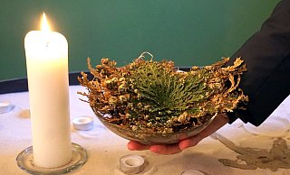 die Rose von Jerusalem in der Nähe des Eingangs - Michael Grundmeier