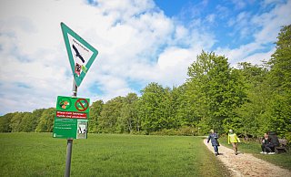 Ochsenheide 2020: Es wird weiterhin auf der Wiese herumgelegen - und Hunde bekommen ihr Stöckchen zugeworfen. - Sarah Jonek