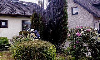 Lebensbäume - wie hier in Spenge - fangen beim Abflämmen von Unkraut schnell Feuer. - Feuerwehr