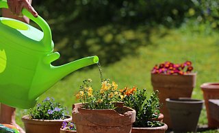 Sonnig und warm: Wer im Sommer falsch gießt, verschwendet Wasser und stresst seine Pflanzen. - Karl-Josef Hildenbrand/dpa-tmn