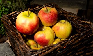 Äpfel lagern besser nicht neben anderem Obst - sie sondern ein Gas ab, durch das Früchte in ihrer Nähe schneller verderben. - Franziska Gabbert/dpa-tmn