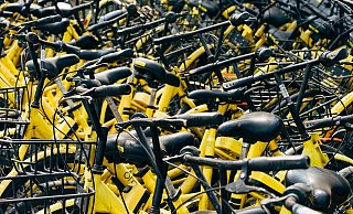250 Fahrräder sollen zunächst zwischen Uni und Innenstadt getestet werden. - pixabay