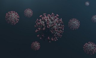 3. Dezember: Corona-Mutationen sind im Kreis Herford angekommen - Pixabay (Symbolbild)