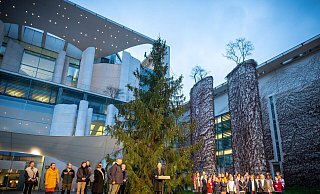 Bundeskanzler Olaf Scholz (M) steht vor der «Kanzlertanne» in Berlin. - Michael Kappeler/dpa