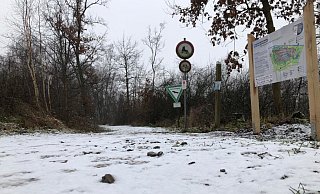 Die Suchaktion der Einsatzkräfte konzentriert sich auf das Große Torfmoor in Hille. - Stefanie Dullweber