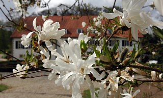 Was uns in den nächsten Wochen blüht, ist ungewiss. In Bad Holzhausen (hier: Haus des Gastes), Börninghausen und Pr. Oldendorf schlagen die fehlenden Touristen hart ins Kontor. - Heike von Schulz