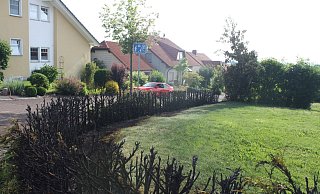 Ein Anwohner setzte in Bühne eine Hecke in Brand. - Polizei