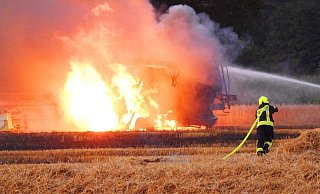 Auch ein Feld in Greffen hat gebrannt. Das Feuer breitete sich durch den Wind rasend aus. - Guitano Darhoven