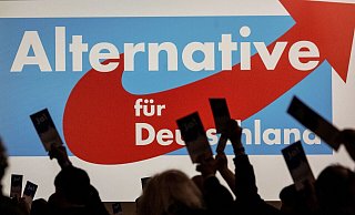 Delegierte versammeln sich zum AfD-Bundesparteitag in Magdeburg. - Swen Pförtner/dpa