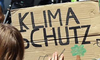 Die Lokalpolitiker wollen ab sofort mehr für den Klimaschutz in Schloß Holte-Stukenbrock tun. Konkrete Maßnahmen gibt es noch nicht. - BARBARA FRANKE