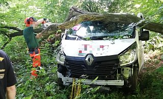 Der Wagen kam an der Kopernikusstraße von der Fahrbahn ab. - NW
