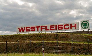 Vor der Firma Westfleisch haben sich Demonstranten versammelt. - Noah Brümmelhorst