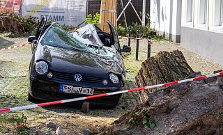 Umgestürzte Bäume, kaputte Autos: Der Tornado hat in Paderborn große Zerstörung angerichtet. - Niklas Tüns