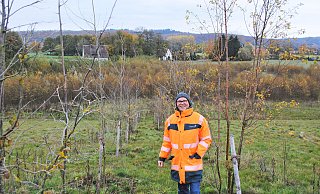 Thomas Kämpfer von Straßen.NRW erklärt, dass die Bäume extra so gepflanzt worden sind, damit sich Fledermäuse daran per Ultraschall orientieren können und den Weg über die Grünbrücken finden. - Monika Dütmeyer