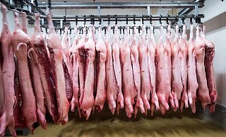 China erschwert mit Zöllen den Import von Schweinefleisch aus der EU. (Symbolbild) - Christian Charisius/dpa