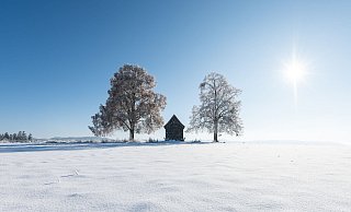Nach kalten Tagen soll das Wetter in Deutschland in der neuen Woche milder werden. - Silas Stein/dpa