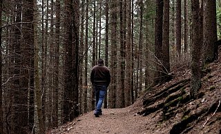 Der Angeklagte unternahm oftmals Waldspaziergänge mit dem Kind. - Symbolbild: Pixabay