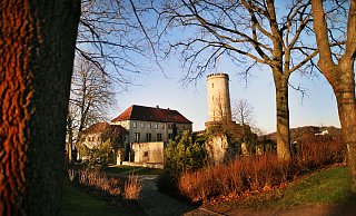 Der geschrumpfte Turm der Sparrenburg. - Sarah Jonek