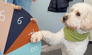 Elmo ist Mitglied im Team der regionalen Schulberatungsstelle des Kreises Paderborn. - Kreis Paderborn