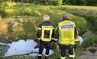 Die Freiwillige Feuerwehr Halle rückte mit 15 Leuten unter der Leitung von Jörg Heitmann zu der Stelle bei Storck aus. - Paul Brinkmann