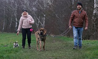 Anna Sembal und Ulf Schanbram mit ihren Hunden Rocco und Happy. - Peter Unger