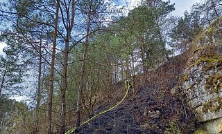 Im Steilhang am Bielenberg kämpfte die Feuerwehr gegen einen Waldbrand, ausgelöst bei einer Bundeswehr-Übung. - Feuerwehr Höxter